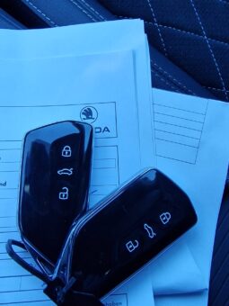 Škoda Octavia 2.0 TDI RS DSG 147kW200HP A7 full