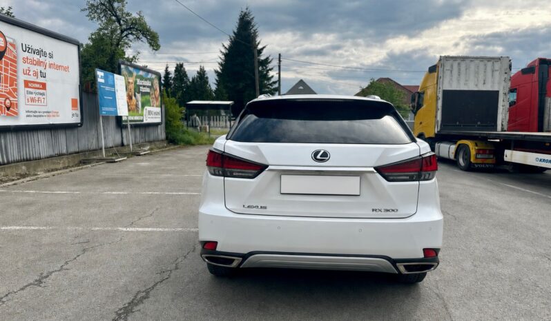 Lexus RX 300 Executive AWD full